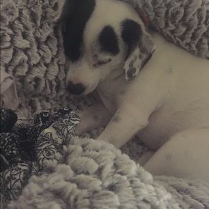 Meet your Posher, Zahra